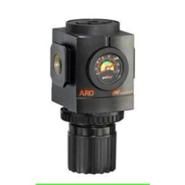 Regulator, 3000 SRS, Npt R37451-100