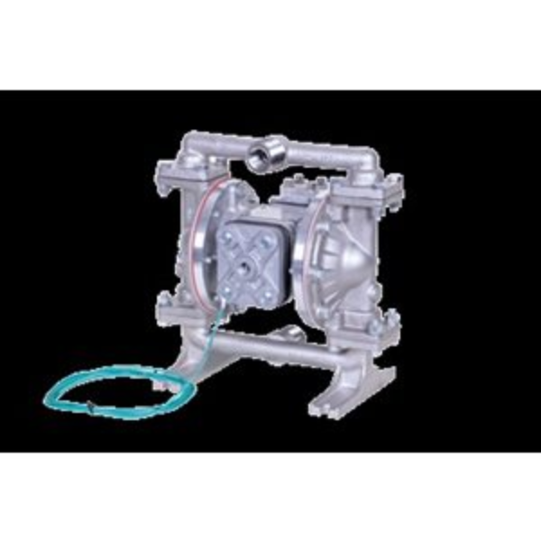 1/2" Ss Diaphragm Pump