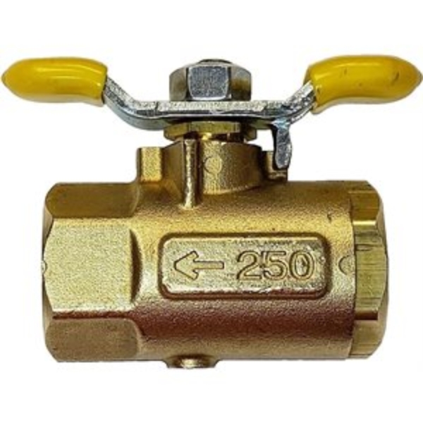 GG 110225.jpg