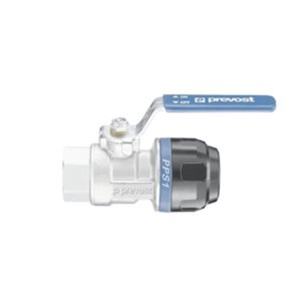 Parallel Female Thread Valves w/Pipe Fittings