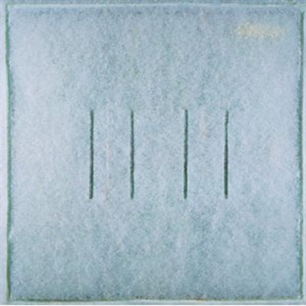 20 In x 25 In, Panel Media