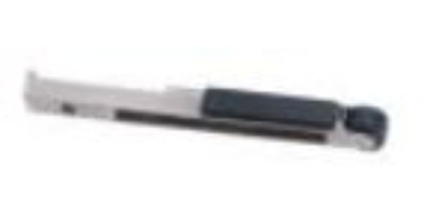 DY 11218.jpg