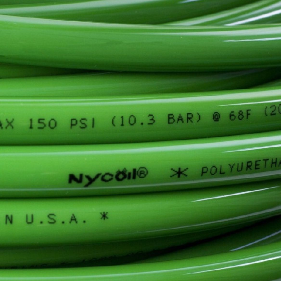 NY 73034.jpg