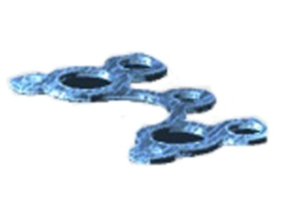 Manifold Seal