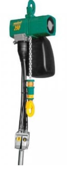 Mini Air Hoist 1100 lb Cap. 16ft Lift 6.5ft Pen