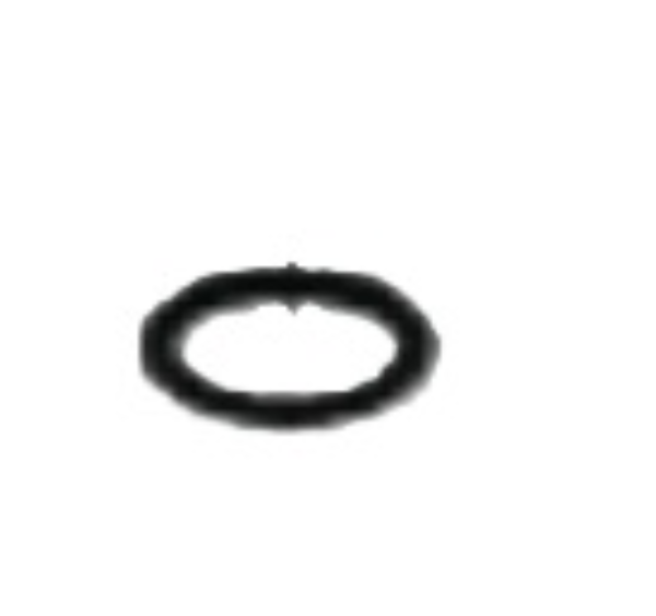 O-Ring