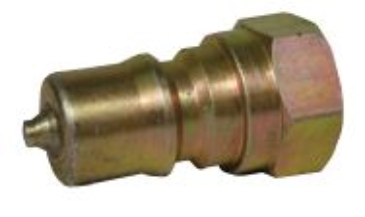 CRP QCDS25F.jpg