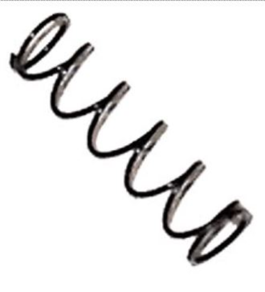 Plunger Spring