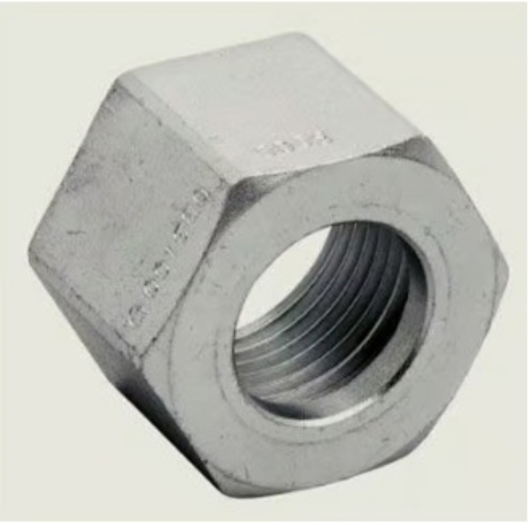 IR 95477196.jpg