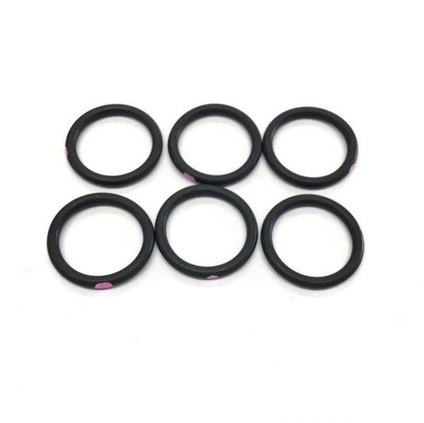 Kit (Pk.Of 6- O-Rings)