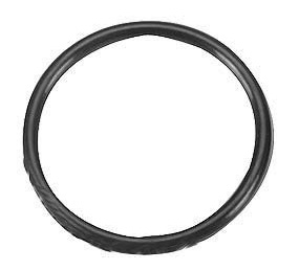 Kit, Bulk, Back Cap Oring