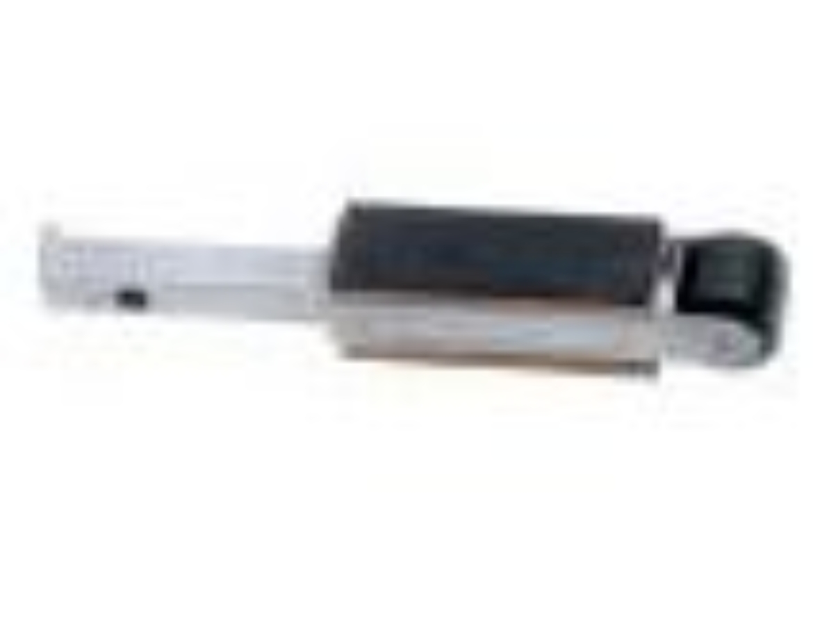 DY 11206.jpg