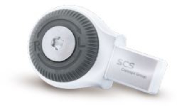 SCA 197 17 0206.jpg