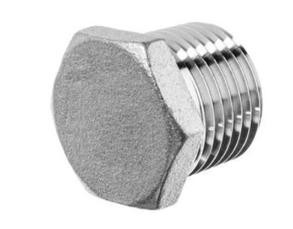 3/4 Hex Hd Thd Plug 304 A351 150