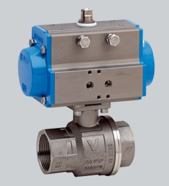 1/4" SS Ball Valve