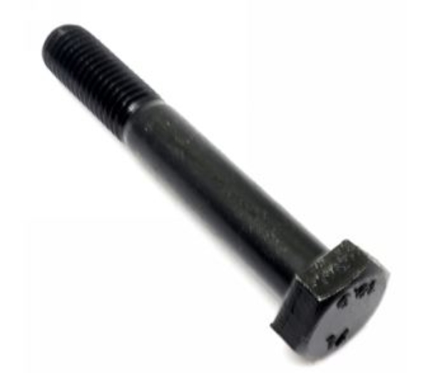 TAM Y10430190.JPG