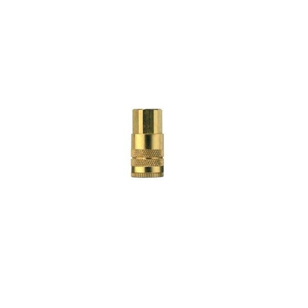 Coupler 1/4" Mpt