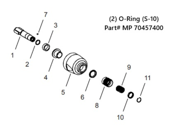 O-Ring (S-10)