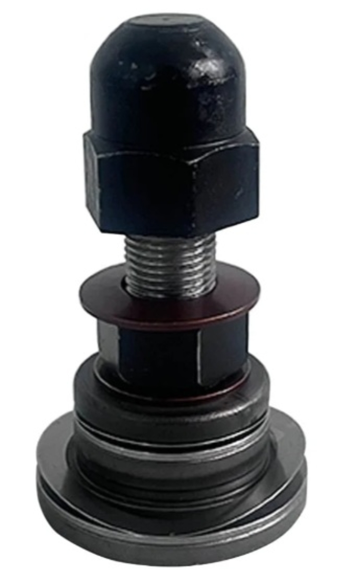 IR 31517725.jpg