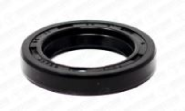 Oil Seal