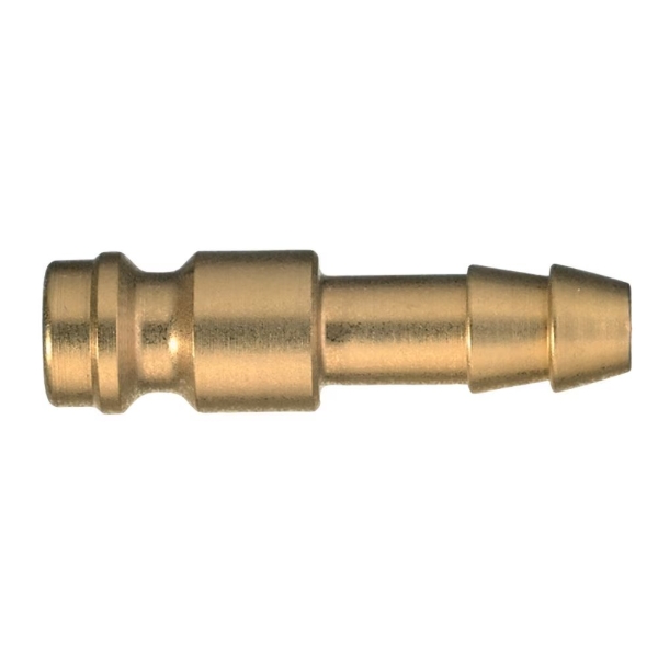 NY 21SFTF04MXX.jpg