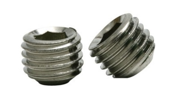 Socket Set Screw, SS, Cup PT 18-8 Forged Socket