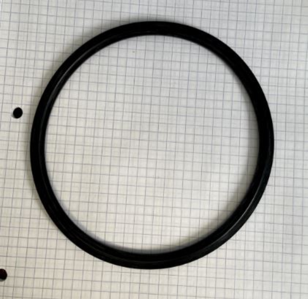 Gasket, 6" Sanitary