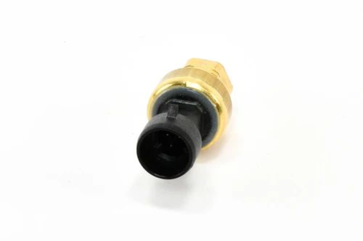 IR 38052403.jpg