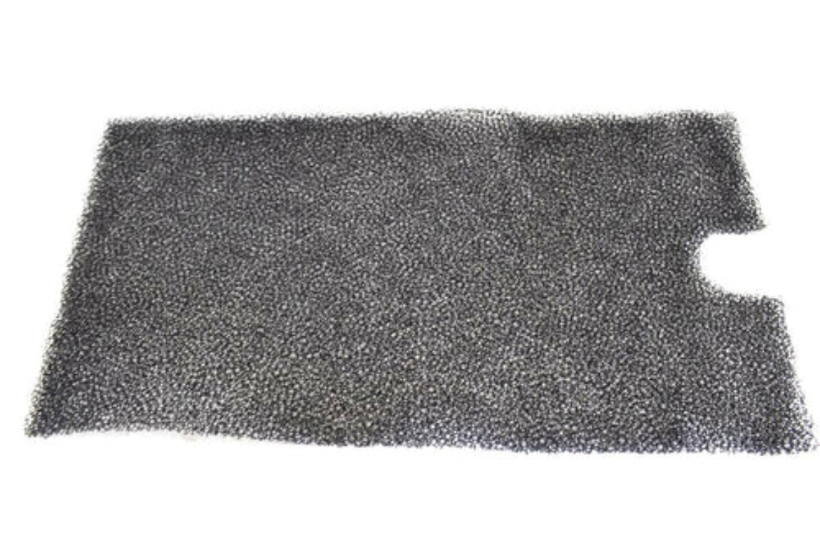IR 49032709.jpg