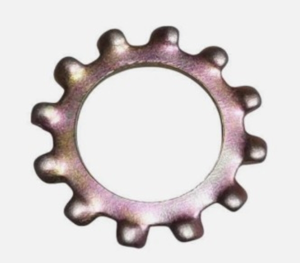 GG 100052.jpg