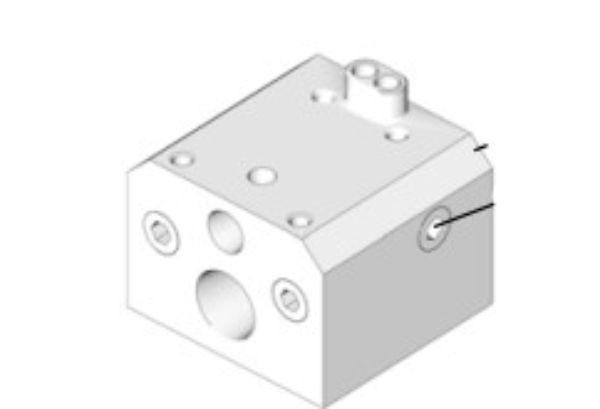 Manifold