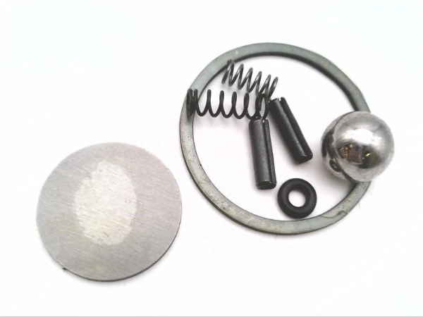 SCALER TUNE UP KIT