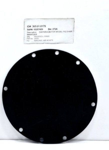 IR 22031.jpg