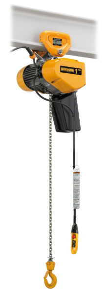 1 Ton Chain Hoist , 10 foot Lift, PT