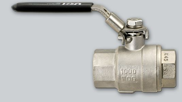 1 FNPT x 1 FNPT SS Ball Valve