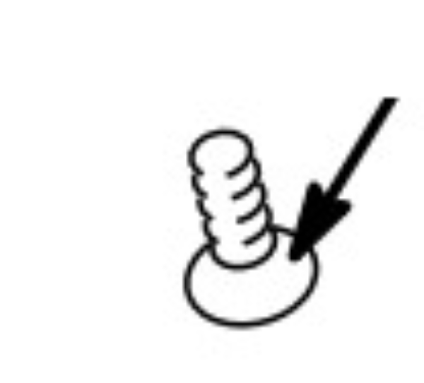 Screw