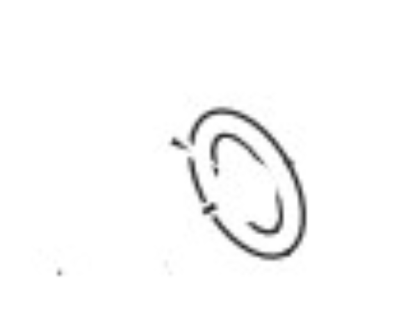 O-Ring