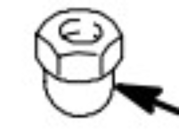 Nut, Cap