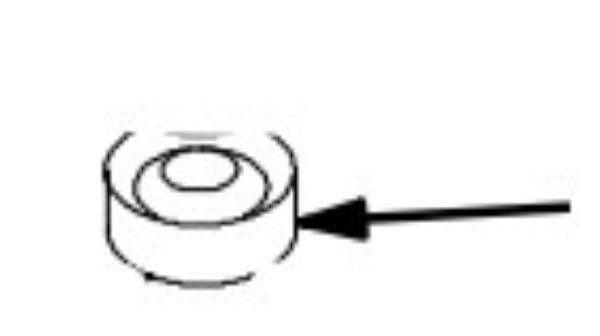 Gland, Female