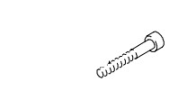 Screw