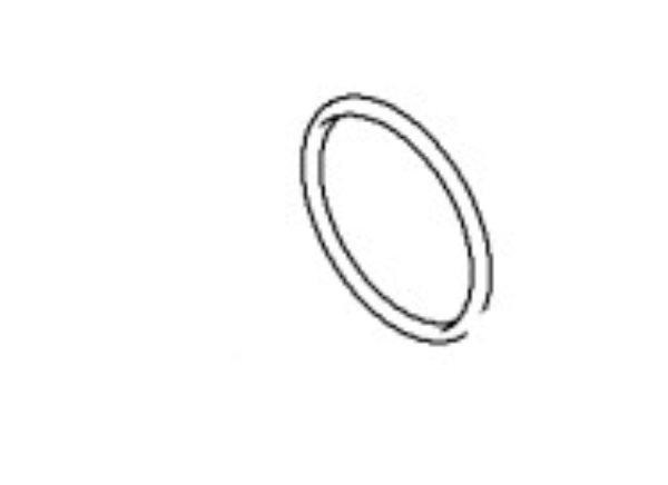 O-Ring