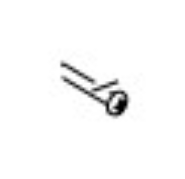 Screw