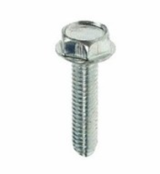 Screw