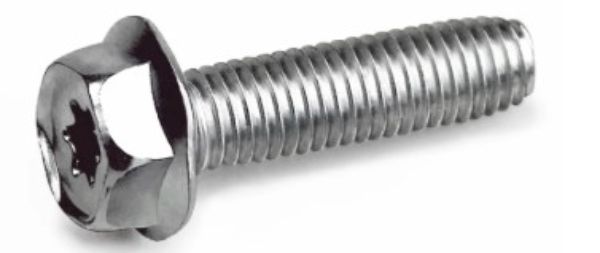 Screw