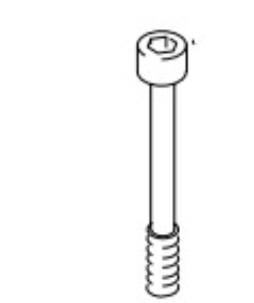 Screw