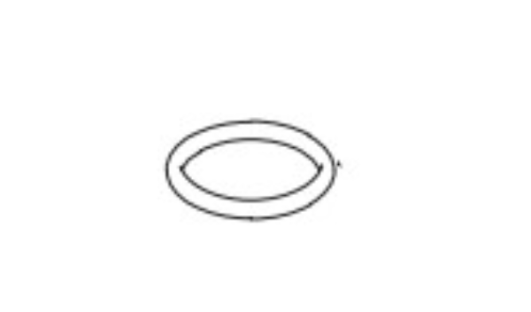 Packing, O-Ring, Filter