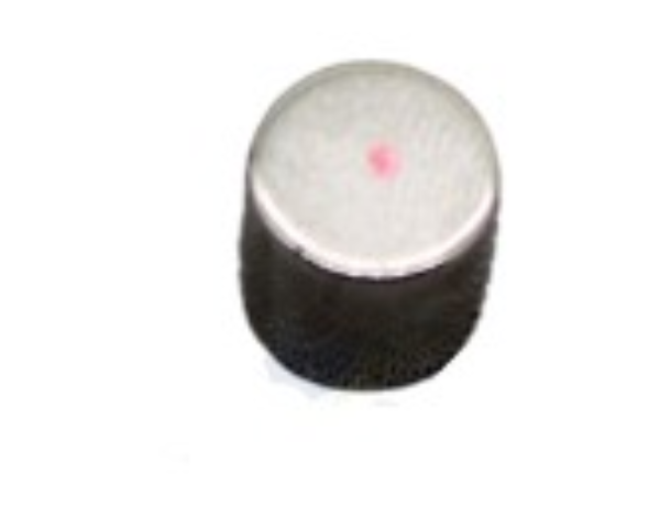 Magnet