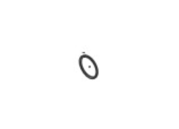 O Ring
