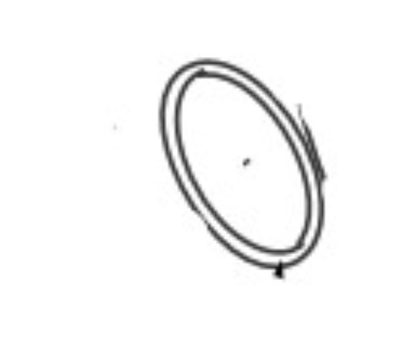 O-Ring