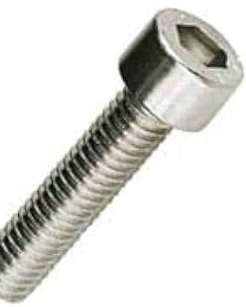 Screw